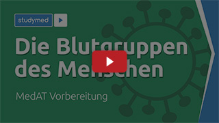 Im Video: Die Blutgruppen des Menschen.